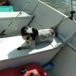 John Dacey - @john.dacey.167 - Instagram