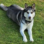 John Dahler - @john.dahler.37 - Instagram