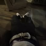 JonJon - @johndahoodlum - Instagram