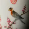 JohnDai - @johndai - TikTok