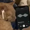 JohnDai - @johndai07 - TikTok