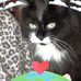 John Daignault - Facebook