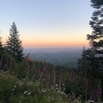John Dailey - @john_dailey_ - Instagram