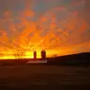 john daly - @john.daly - TikTok