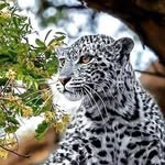 John G Daly - @johndaly257 - Instagram
