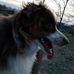 John Dampf - Facebook