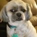 John Dandridge - Facebook