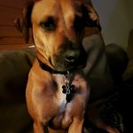 John D'Angelo - @miracle_meds - Instagram