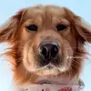 Darsey Johnson - @darsey.johnson - TikTok