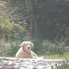 John Daru - @john.daru8 - TikTok