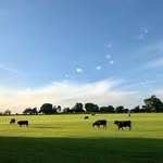 John Darwell - @johncdarwell - Instagram