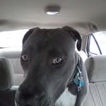 John Henry - @john.dasenbrock.9 - Instagram