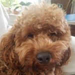 John Daskalakis - @j.daskalakis - Instagram