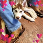 John Daugherty - @john.daugherty.7771 - Instagram