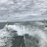 John Daugherty - @jdfishcampguy01 - Instagram