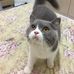 John F-Daus - Facebook