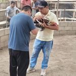 John Davalos - @jdq_715 - Instagram