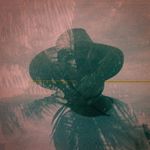 john davern - @df7juyum - Instagram