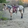 John Davis - @john.davis17 - TikTok