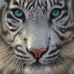 john davison - @dovoian_john_121 - Instagram