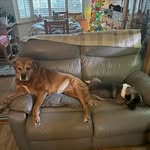 John Davison - @jdavison301 - Instagram