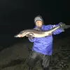 John Davison - @john.davison847 - TikTok