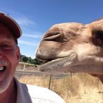 John Daynes - @beesharp1 - Instagram
