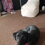 John Daynes - @john.daynes.927 - Instagram