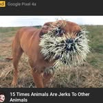 john dayton Robert attrell - @dayton_attrell - Instagram