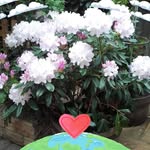 John Deadman - @j.deadman48 - Instagram
