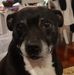 John Deaguiar - Facebook