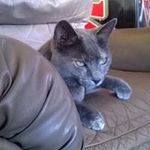 John Deane - @john.deane.77715 - Instagram