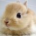 John Dearborn - Facebook