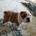 John Dearborn - Facebook
