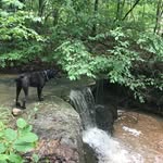 John Dearborn - @dearbornj726 - Instagram