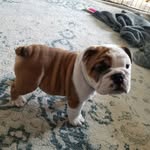 John Dearborn - @jhd16299 - Instagram