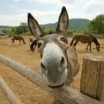 JOHN DEARIE - @johnde837 - Instagram