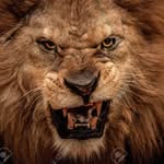 John De Benedetto - @jadb58 - Instagram