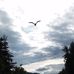 John DeBruhl - Facebook
