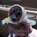 JohnAmy DeCenzo - Facebook