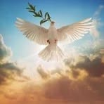 John Decina - Facebook