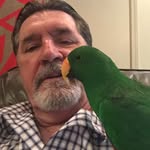 A John DeCorte - @ajohnd2025 - Instagram