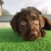 John Decorte - Facebook