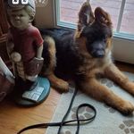 John DeCosta - @john.decosta.927 - Instagram