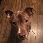 John - @john_deighanjr_jax - Instagram