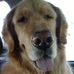 John Deininger - Facebook