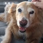 John Deitchman - @johndeitchman - Instagram