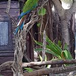 John Dekkers - @dekkers1967 - Instagram