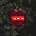 Álvaro John del Valle - @johndelvalle7 - Instagram
