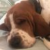John Demuth - Facebook